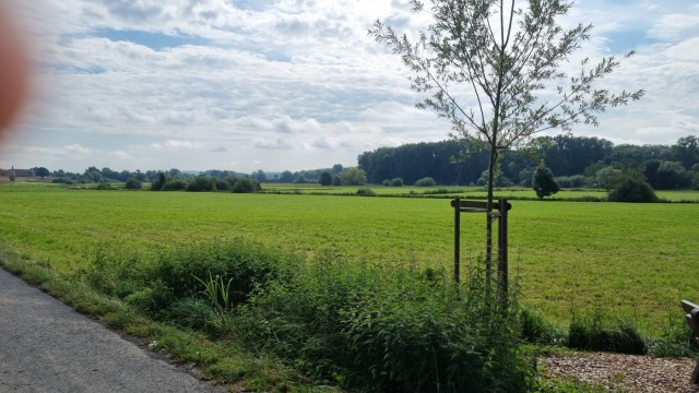 IMG20210726WA0023