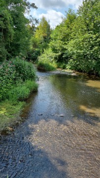 IMG20210726WA0029