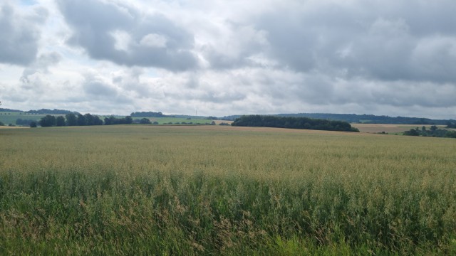 IMG20210727WA0004