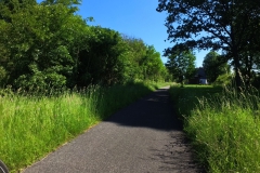 IMG_20240608_101742_00_032.insp