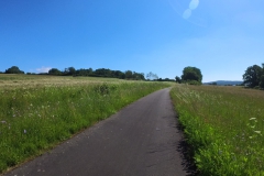 IMG_20240608_102749_00_038.insp