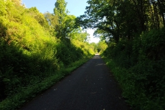 IMG_20240608_102749_00_041.insp