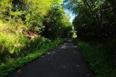 IMG_20240608_102749_00_049.insp