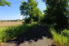IMG_20240608_103930_00_061.insp