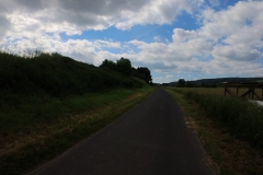 IMG_20240610_103011_00_130.insp
