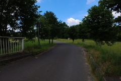 IMG_20240610_103011_00_133.insp