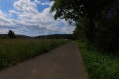 IMG_20240610_103011_00_135.insp
