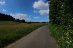 IMG_20240610_104509_00_150.insp