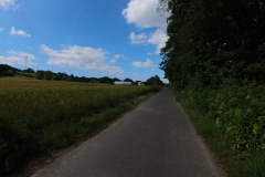 IMG_20240610_104509_00_151.insp