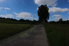 IMG_20240610_104509_00_152.insp