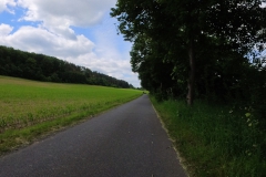 IMG_20240610_113509_00_172.insp