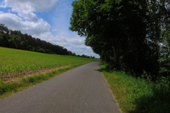 IMG_20240610_113509_00_173.insp