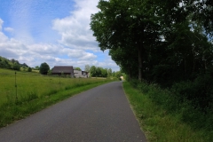 IMG_20240610_113509_00_174.insp