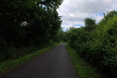 IMG_20240610_113509_00_176.insp