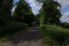 IMG_20240610_113509_00_180.insp