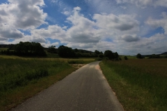 IMG_20240610_113509_00_182.insp