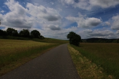 IMG_20240610_113509_00_183.insp