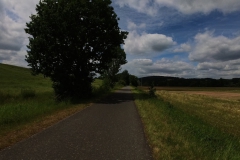 IMG_20240610_113509_00_184.insp