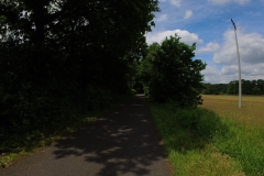 IMG_20240610_113509_00_185.insp
