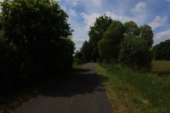 IMG_20240610_113509_00_190.insp