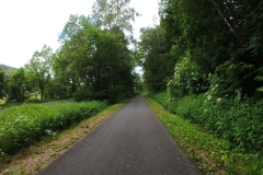 IMG_20240610_115320_00_191.insp
