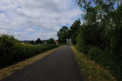 IMG_20240610_115320_00_193.insp