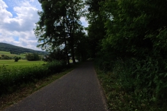 IMG_20240610_115320_00_198.insp