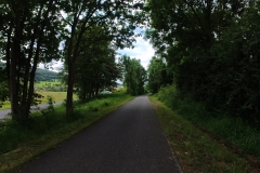 IMG_20240610_115320_00_199.insp