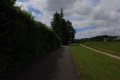 IMG_20240610_115320_00_200.insp