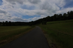 IMG_20240610_115320_00_202.insp