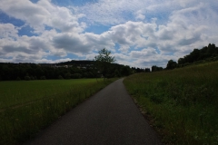 IMG_20240610_115320_00_210.insp