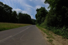 IMG_20240610_115320_00_215.insp