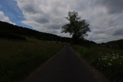 IMG_20240610_115320_00_224.insp