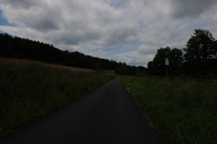 IMG_20240610_115320_00_225.insp