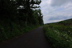 IMG_20240610_115320_00_226.insp