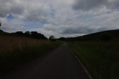 IMG_20240610_115320_00_227.insp
