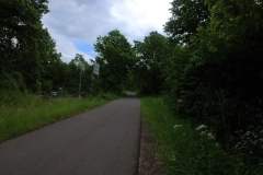 IMG_20240610_124338_00_236.insp