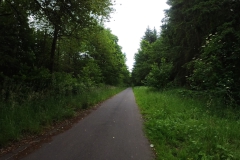 IMG_20240610_124338_00_237.insp