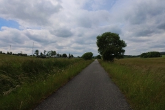 IMG_20240610_130029_00_243.insp
