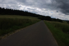 IMG_20240611_110854_00_267.insp