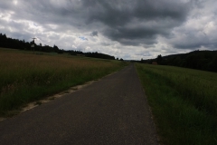 IMG_20240611_110854_00_269.insp