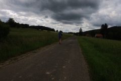 IMG_20240611_110854_00_270.insp