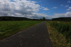 IMG_20240611_115501_00_315.insp