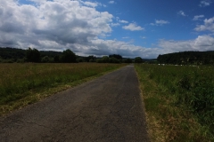 IMG_20240611_115501_00_316.insp