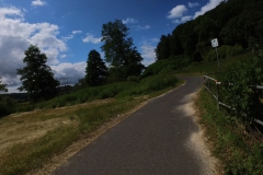 IMG_20240611_115501_00_320.insp