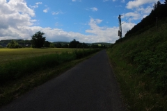 IMG_20240611_115501_00_323.insp