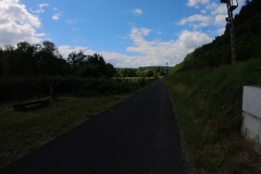 IMG_20240611_115501_00_324.insp