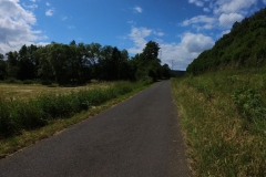 IMG_20240611_115501_00_325.insp