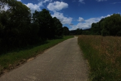 IMG_20240611_115501_00_332.insp