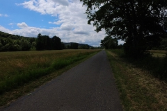 IMG_20240611_115501_00_341.insp
